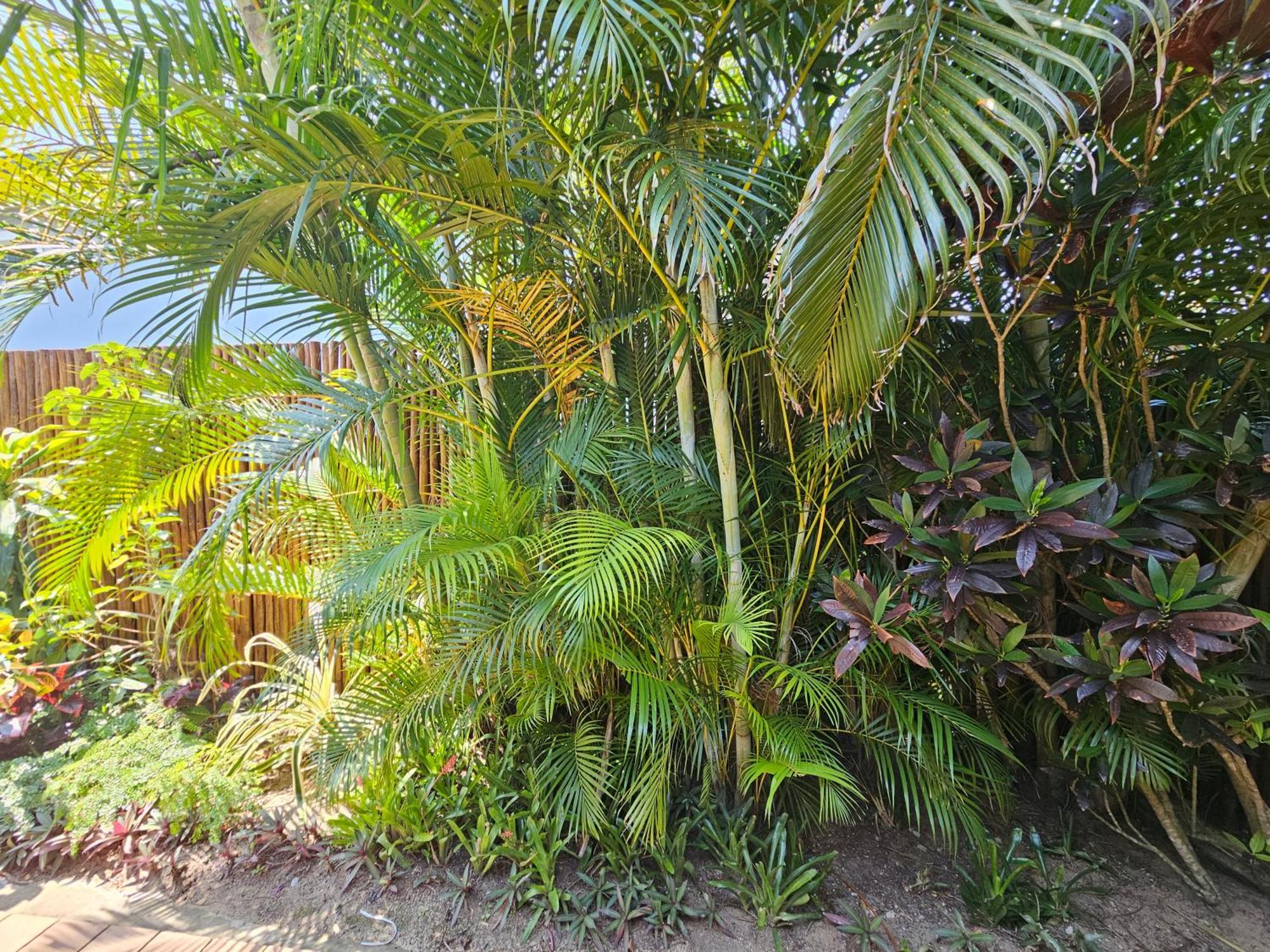 Leopard Corner Lodge Saint Lucia Estuary Esterno foto